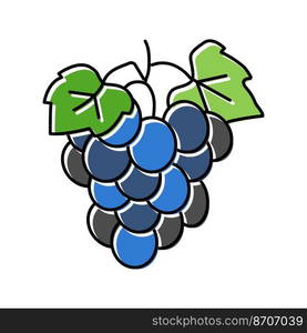 blue grape wine color icon vector. blue grape wine sign. isolated symbol illustration. blue grape wine color icon vector illustration