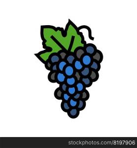 blue grapes bunch color icon vector. blue grapes bunch sign. isolated symbol illustration. blue grapes bunch color icon vector illustration