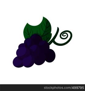 Blue grapes bunch icon in cartoon style on a white background . Blue grapes bunch icon, cartoon style