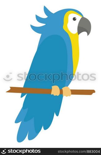 Blue parrot standing on branch, illustration, vector on white background.