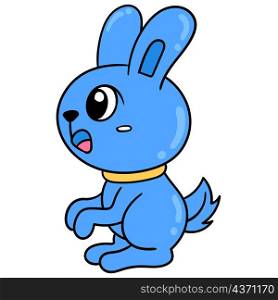 blue rabbit is standing cute pet