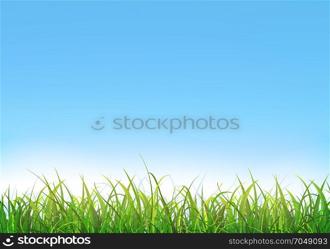 Blue Sky Background With Green Grass. Illustration of a blue sky landscape with green grass leaves and lawn at the foreground