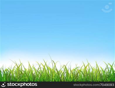 Blue Sky Background With Green Grass. Illustration of a blue sky landscape with green grass leaves and lawn at the foreground