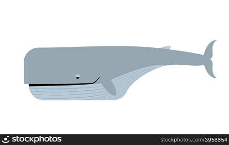Blue whale white background. Vector illustration of marine animals. Largest sea animal&#xA;