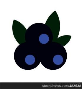 Blueberries flat icon isolated on white background. Blueberries flat icon