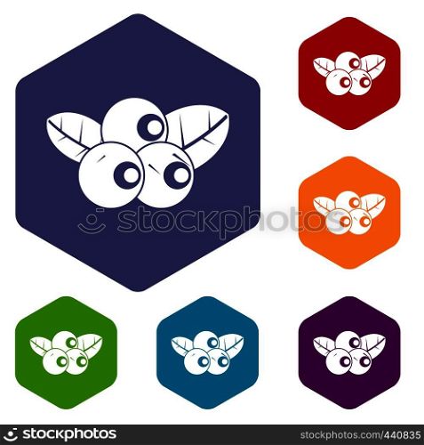 Blueberries icons set hexagon isolated vector illustration. Blueberries icons set hexagon