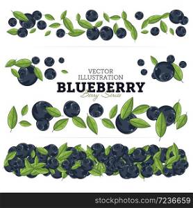 Blueberry Compositions, Blueberry Leaves, Blueberry Vector, Cartoon illustration of Blueberry. Blueberry Isolated on White Background. Bunch Juicy Blueberry Berries.. Blueberry Set, Vector.