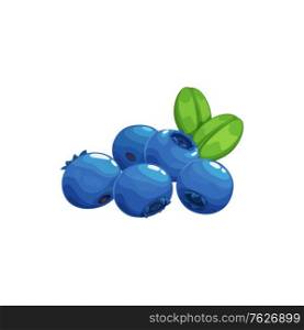 Blueberry fruits icon, blue berries bilberry food, vector. Wild forest or farm garden blueberries fruits ripe harvest for jam, juice or yogurt package food ingredient, natural organic dessert berries. Blueberry fruits icon, blue berries bilberry food