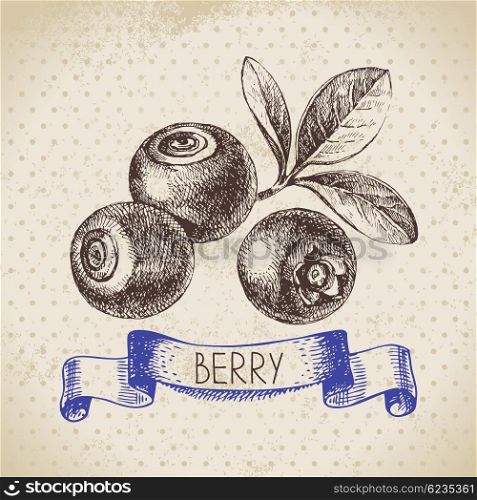 Blueberry. Hand drawn sketch berry vintage background. Vector illustration of eco food