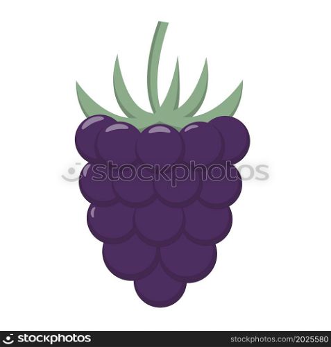 Blueberry isolated vector illustration. Delicious healthy forest berry. Healthy organic food drawn. Blueberry isolated vector illustration