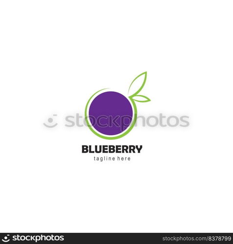 blueberry logo.vector illustration  template design.