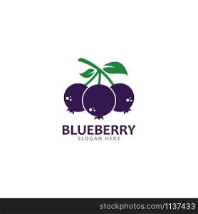 Blueberry logo vector template icon illustration design