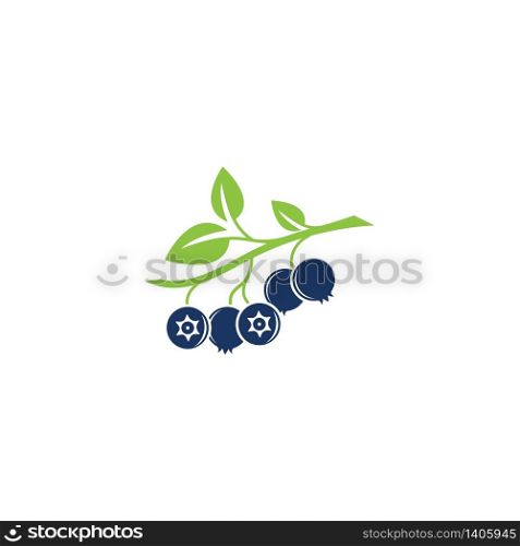 Blueberry logo vector template icon illustration design