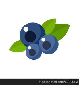 Blueberry on a white background isolated. Vector illustration