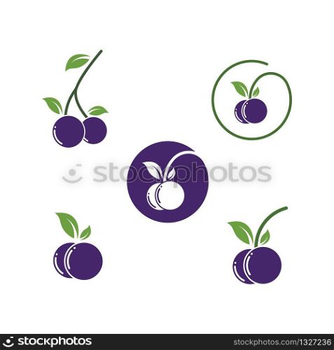 blueberry vector illustration design template