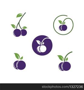 blueberry vector illustration design template