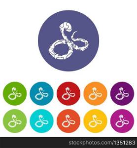 Boa snake icons color set vector for any web design on white background. Boa snake icons set vector color