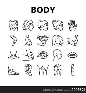 Body And Facial People Parts Icons Set Vector. Female And Male, Kid And Adult Face, Wrist And Arm Muscle, Breast And Leg Human Body Line. Lip And Nose, Eyebrow And Eye Black Contour Illustrations. Body And Facial People Parts Icons Set Vector