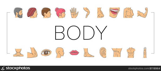 Body And Facial People Parts Icons Set Vector. Female And Male, Kid And Adult Face, Wrist And Arm Muscle, Breast And Leg Human Body Line. Lip And Nose, Eyebrow And Eye Color Illustrations. Body And Facial People Parts Icons Set Vector