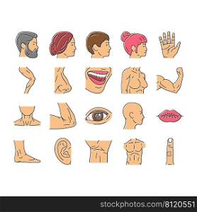Body And Facial People Parts Icons Set Vector. Female And Male, Kid And Adult Face, Wrist And Arm Muscle, Breast And Leg Human Body Line. Lip And Nose, Eyebrow And Eye Color Illustrations. Body And Facial People Parts Icons Set Vector