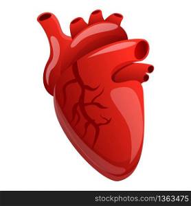 Body human heart icon. Cartoon of body human heart vector icon for web design isolated on white background. Body human heart icon, cartoon style