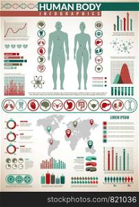 Body infographics. Human health medical vector anatomy infographic with chart, diagrams and system graphs, inner organ healthcare info icons. Body infographics. Human health medical vector anatomy infographic with chart, diagrams and graphs, inner organ icons