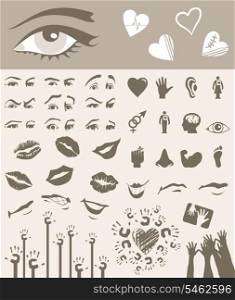 Body part. Collection of parts of a body. A vector illustration