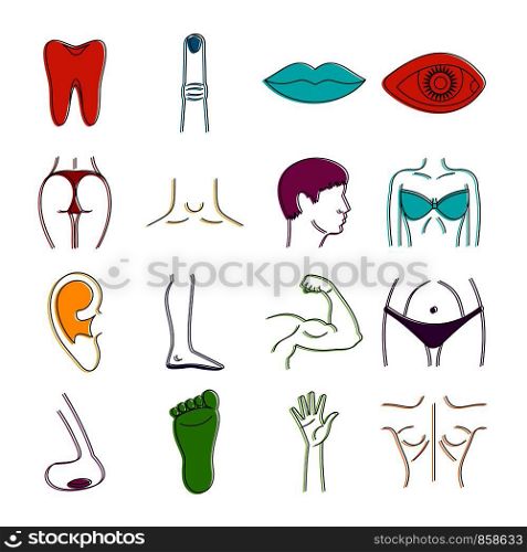 Body parts icons set. Doodle illustration of vector icons isolated on white background for any web design. Body parts icons doodle set