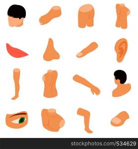 Body parts icons set in isometric 3d style isolated on white background. Body parts icons set, isometric 3d style