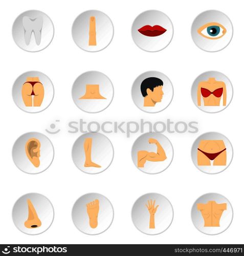 Body parts set icons in flat style isolated on white background. Body parts set flat icons