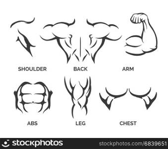 Bodybuilder body parts icons. Bodybuilder muscles vector illustration. Healthy and muscular fitness body parts icons