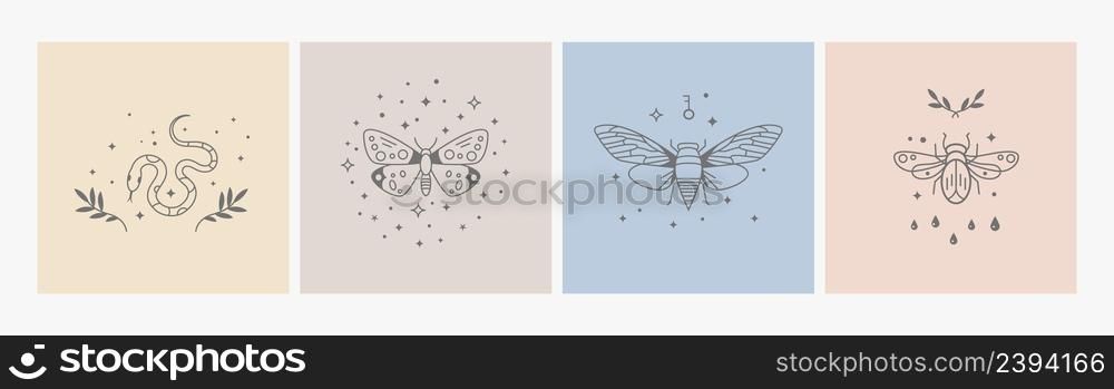 Boho logo design. Geometry line insects, mystic symbols with stars. Magic delicate icons, bohemian prints. Nature snake, beetle, butterfly, vector design. Illustration of insect boho tattoo drawing. Boho logo design. Geometry line insects, mystic symbols with stars. Magic delicate style icons, bohemian prints. Nature snake, beetle, butterfly, decorative vector design