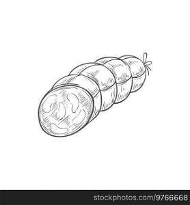Boiled tied sausage isolated cut kielbasa sketch. Vector pepperoni meat platter, butchery food. Frankfurter or sausage isolated salami meat food