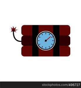 Bomb with clock timer flat icon isolated on white background. Bomb with clock timer flat icon