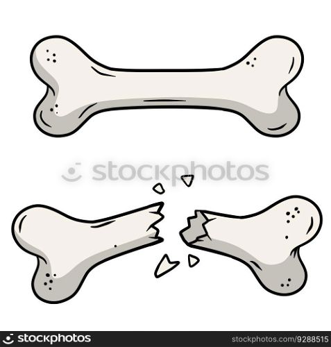 Bone fracture. Trauma to the body. Crack and splinters. Dangerous situation and wound. Cartoon flat illustration and dog toy isolated on white background. Bone fracture. Trauma to the body.