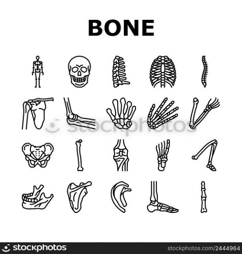 Bone Human Skeleton Structure Icons Set Vector. Arms And Leg Body Bone Human, Chest And Neck, Shoulder And Finger, Knee And Skull. Anatomy Skeletal System And Medicine Black Contour Illustrations. Bone Human Skeleton Structure Icons Set Vector