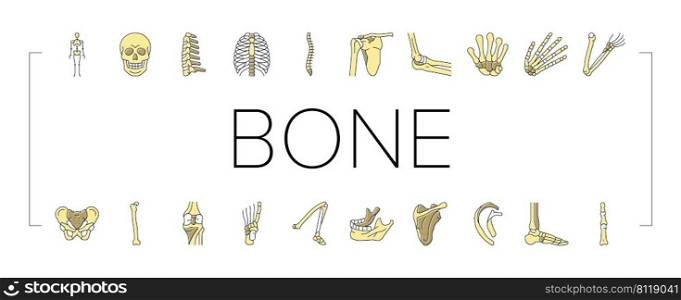 Bone Human Skeleton Structure Icons Set Vector. Arms And Leg Body Bone Human, Chest And Neck, Shoulder And Finger, Knee And Skull. Anatomy Skeletal System And Medicine Color Illustrations. Bone Human Skeleton Structure Icons Set Vector