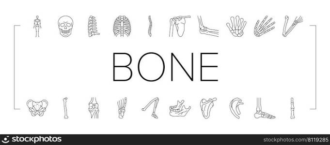 Bone Human Skeleton Structure Icons Set Vector. Arms And Leg Body Bone Human, Chest And Neck, Shoulder And Finger, Knee And Skull. Anatomy Skeletal System And Medicine Black Contour Illustrations. Bone Human Skeleton Structure Icons Set Vector