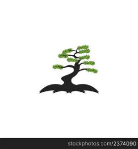 bonsai ornamental plant icon. vector illustration design.