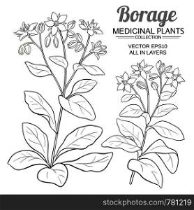 borage vector set on white background. borage vector set