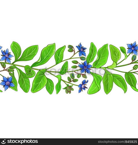 borago vector pattern on white background. borago vector pattern