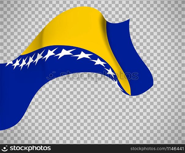 Bosnia and Herzegovina flag on transparent background. Vector illustration. Bosnia and Herzegovina flag