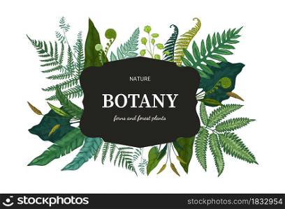 Botanical background. Hand drawn wallpaper with forest foliage. Green fern sprouts and bourgeon. Isolated frame with lettering and decorative wild plant leaves. Vector floral border design template. Botanical background. Hand drawn wallpaper with forest foliage. Green fern sprouts and bourgeon. Frame with lettering and decorative wild plant leaves. Vector floral design template