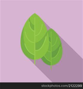Botanical basil icon flat vector. Herb leaf. Cooking plant. Botanical basil icon flat vector. Herb leaf