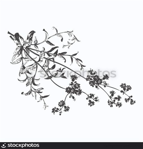 Botanical hand drawn branches with flowers isolated, herbal flowers isolated on white background vector illustration