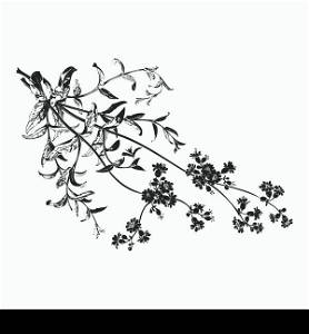 Botanical hand drawn branches with flowers isolated, herbal flowers isolated on white background vector illustration