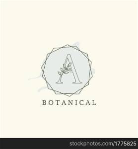 Botanical Leaf Initial A Letter Logo, vector logo design concept hexagon geometric..