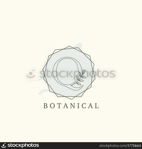 Botanical Leaf Initial Q Letter Logo, vector logo design concept hexagon geometric.