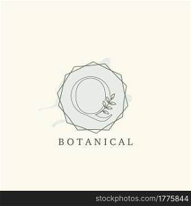 Botanical Leaf Initial Q Letter Logo, vector logo design concept hexagon geometric.