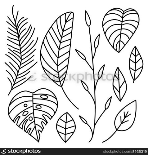 Botanical leaves set. Collection of tropical plants. Vector line icon. Editable stroke. Doodle style. Botanical leaves set. Collection of tropical plants. Vector line icon. Editable stroke. Doodle style.
